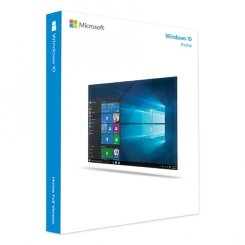 Windows 10 Home (USB설치) [FPP]