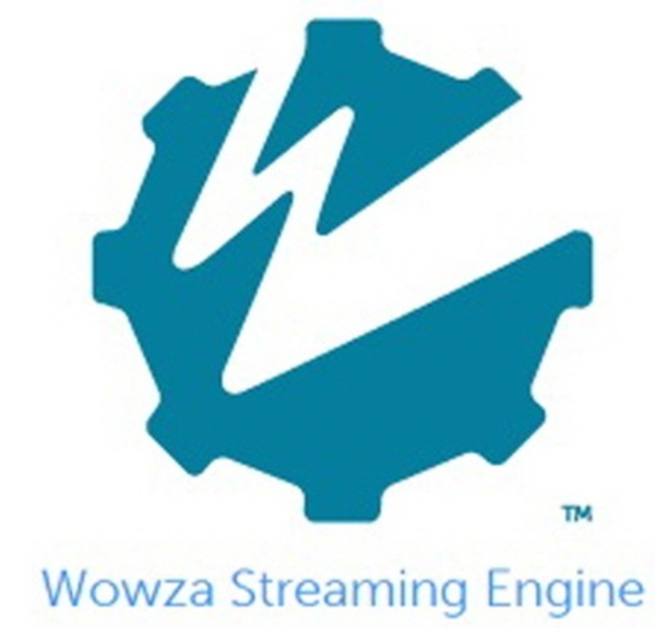 Wowza Streaming Engine Perpetual Pro - 1 Year Support(20~servers) 