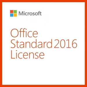 Office 2019 Standard SNGL OLP NL / 오피스 2019 Standard [기업용/영구사용]