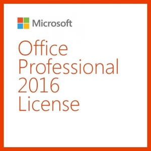 Office 2019 Pro Plus SNGL OLP NL / 오피스 2019 Pro [기업용/영구사용]