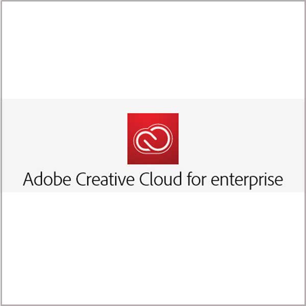 Adobe CCE(Creative Cloud for enterprise)